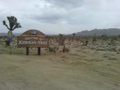 Getting into Joshua Tree