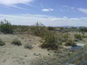 What's this? A frontage road? Where did that come from? Where does it go?