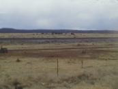 There was a dust devil right beside the road at my last water stop. I don't know if it shows up in the photo.