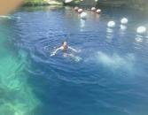 Going for a cold swim