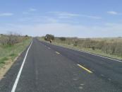 This picture is a little far away, but check out pigsquach!