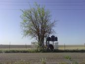 The first of many historic markers