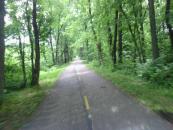 Mostly the trails looked like this.