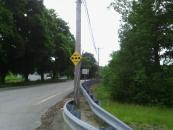 Maybe these signs really help because I haven't seen any roadkilled turtles in a while.