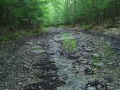 Pushing my bike up the rocky road / creek