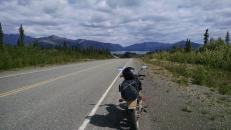 A Scenic Yukon view