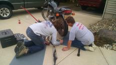 Tuning up the bike afterward.