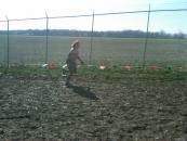 Going strong at the beginning before any obstacles