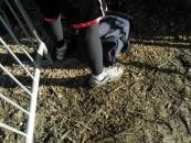 Some clean shoes before the start